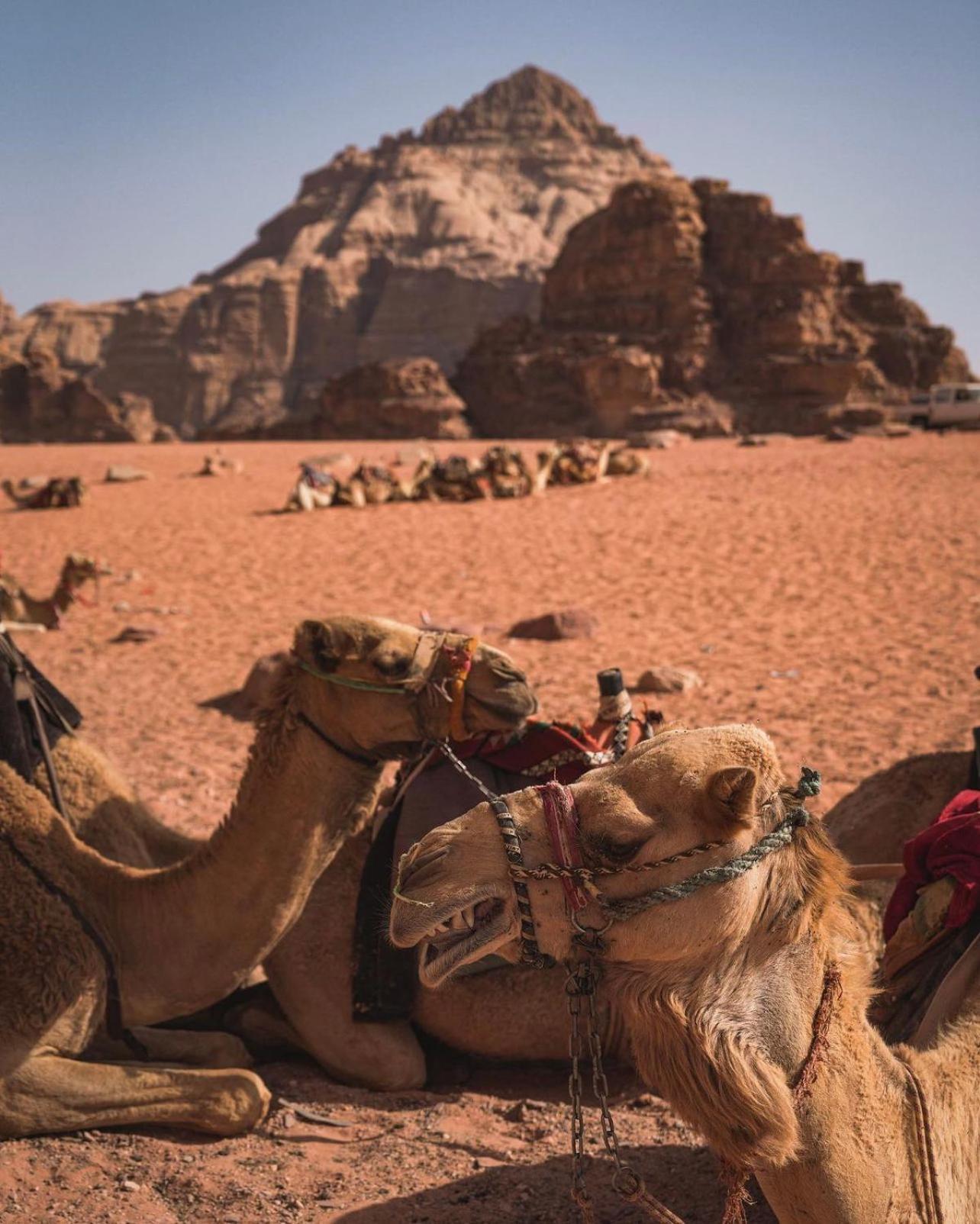 Rum Magic Luxury Camp Wadi Rum Exterior photo